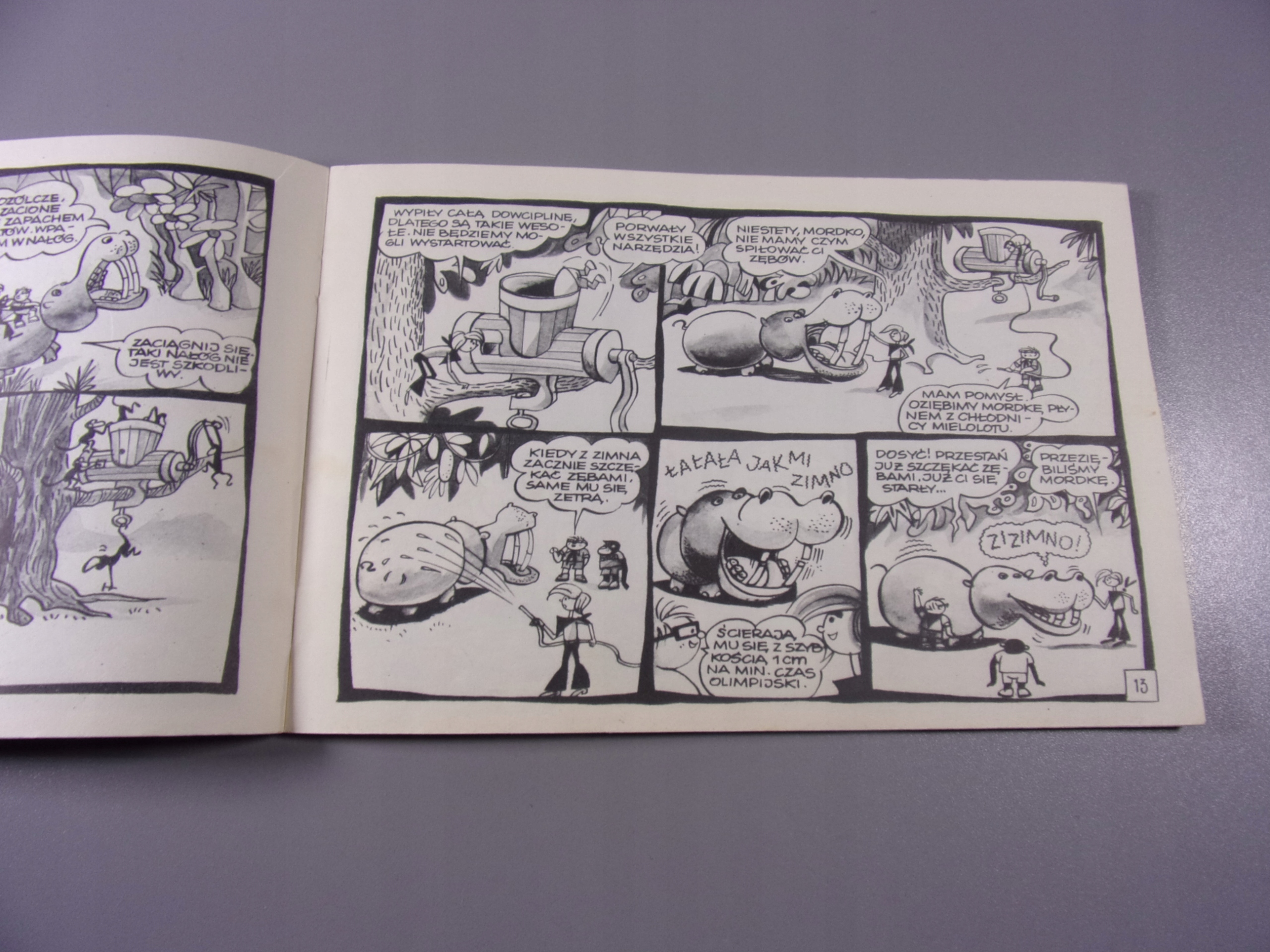 TYTUS księga X 1975 r. wyd. I HORYZONTY