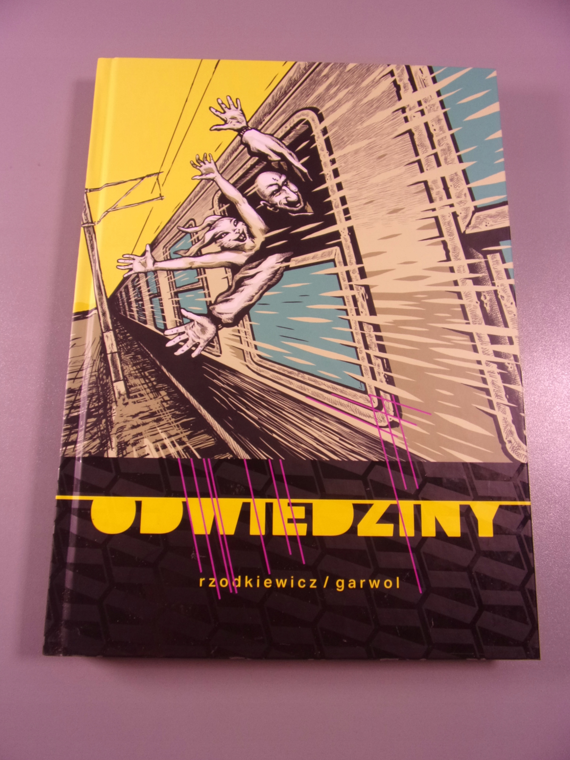 ODWIEDZINY wyd. I 2017 r.