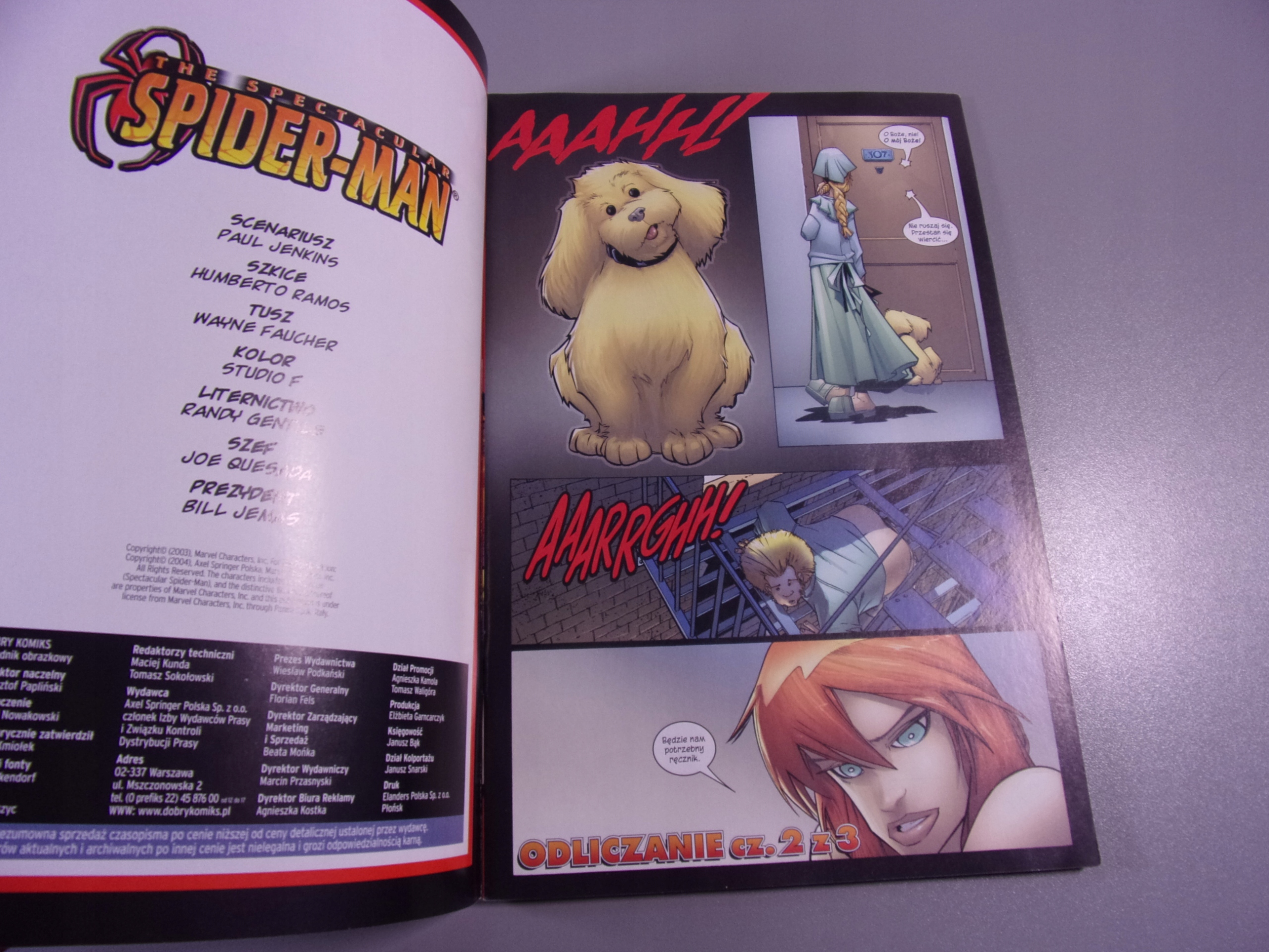 THE SPECTACULAR SPIDER-MAN 4/5 - DK 20/2004