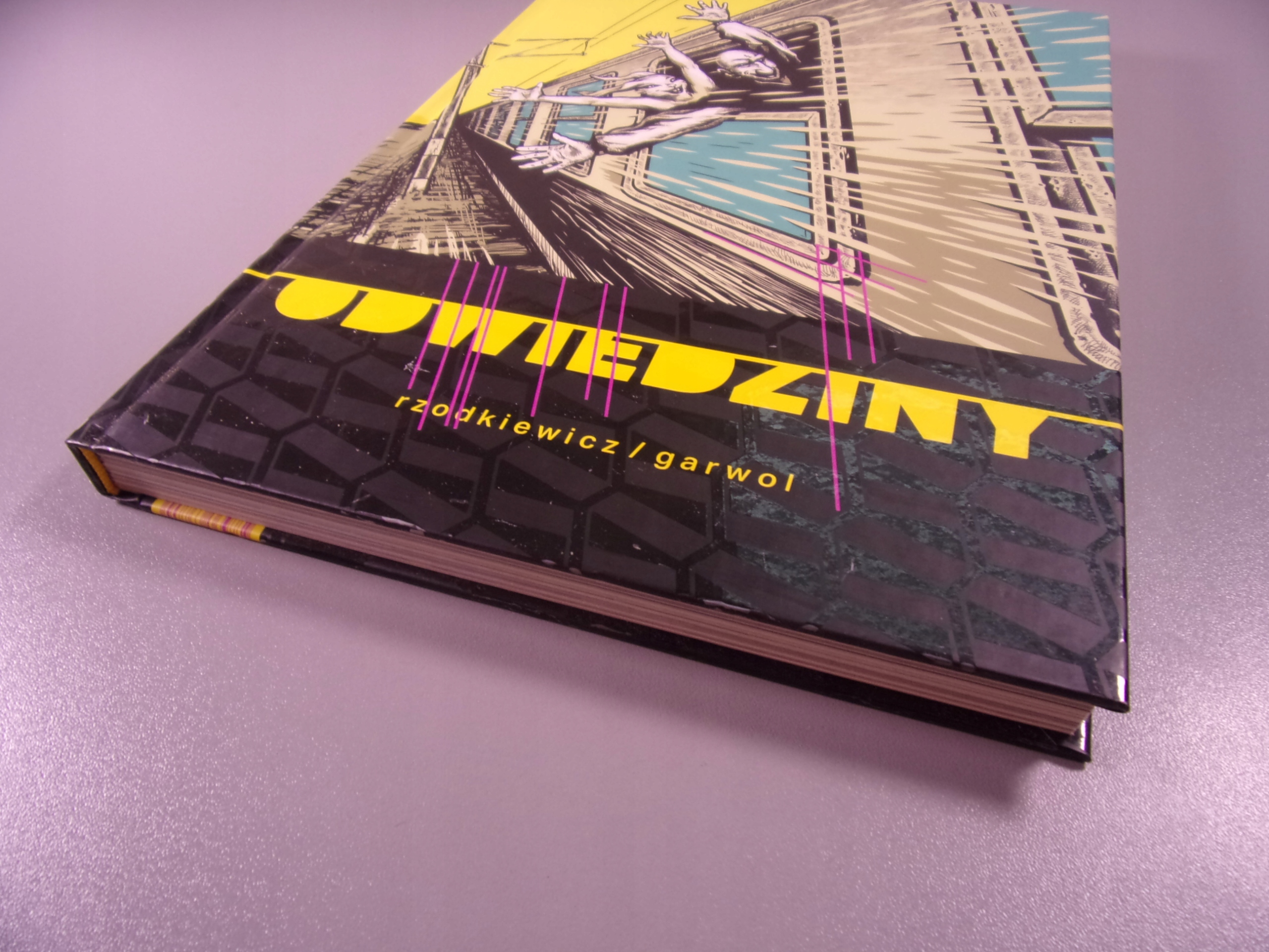 ODWIEDZINY wyd. I 2017 r.