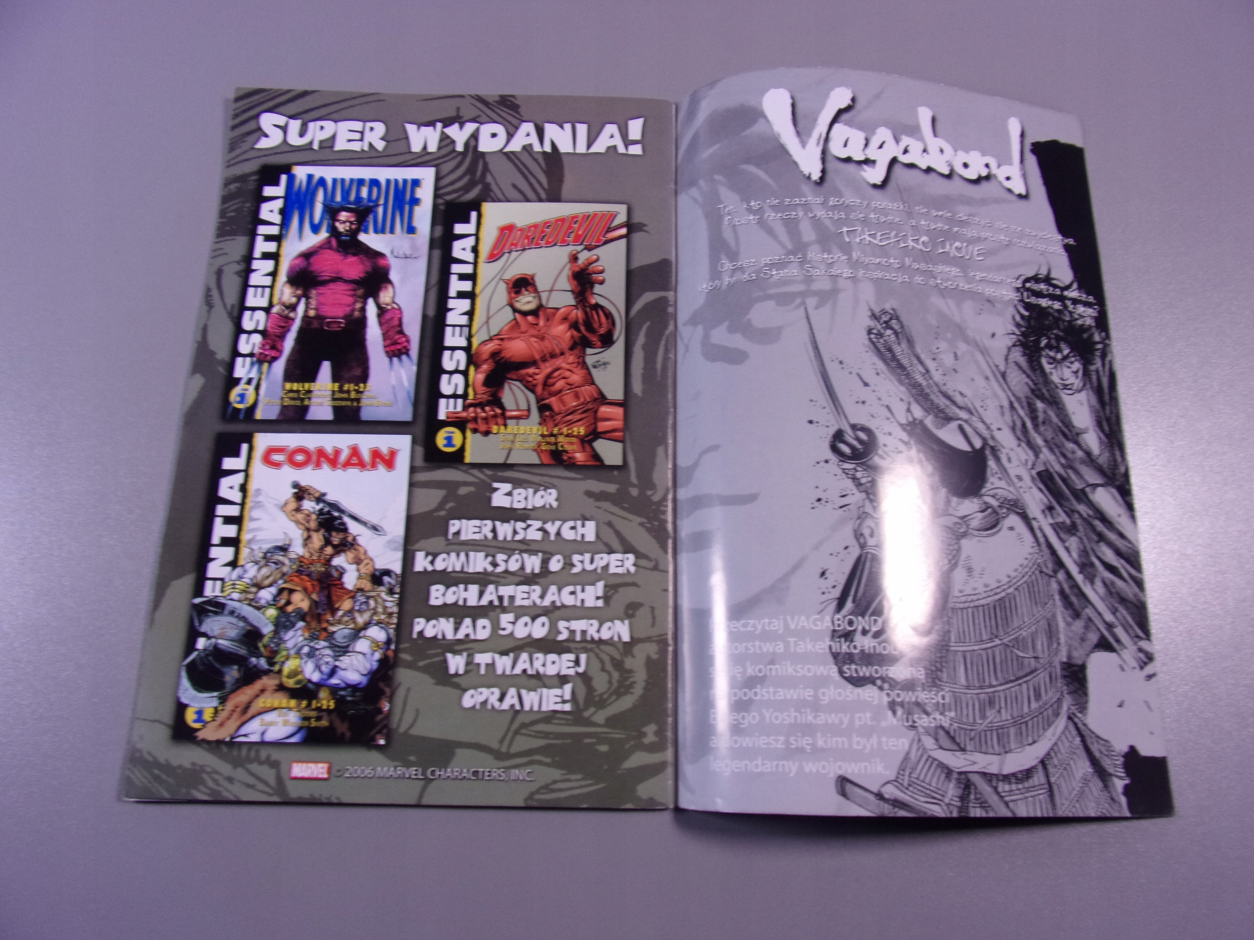 FURY 3 2006 r. MANDRAGORA