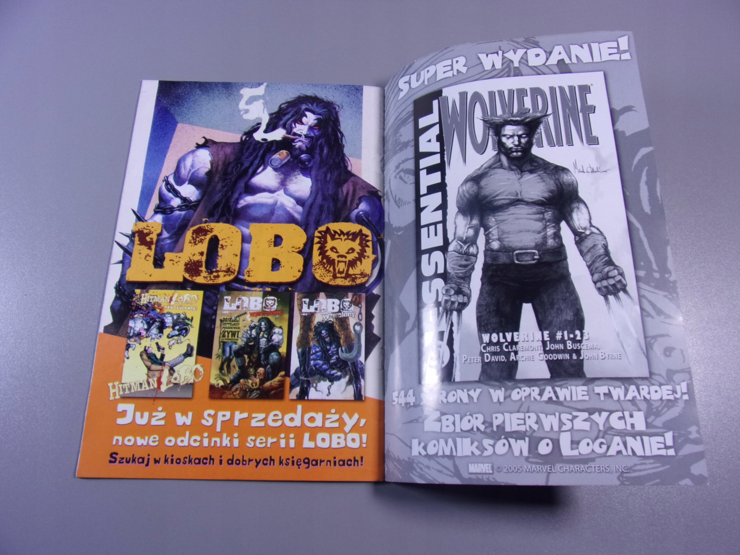 FURY 1 2005 r. MANDRAGORA