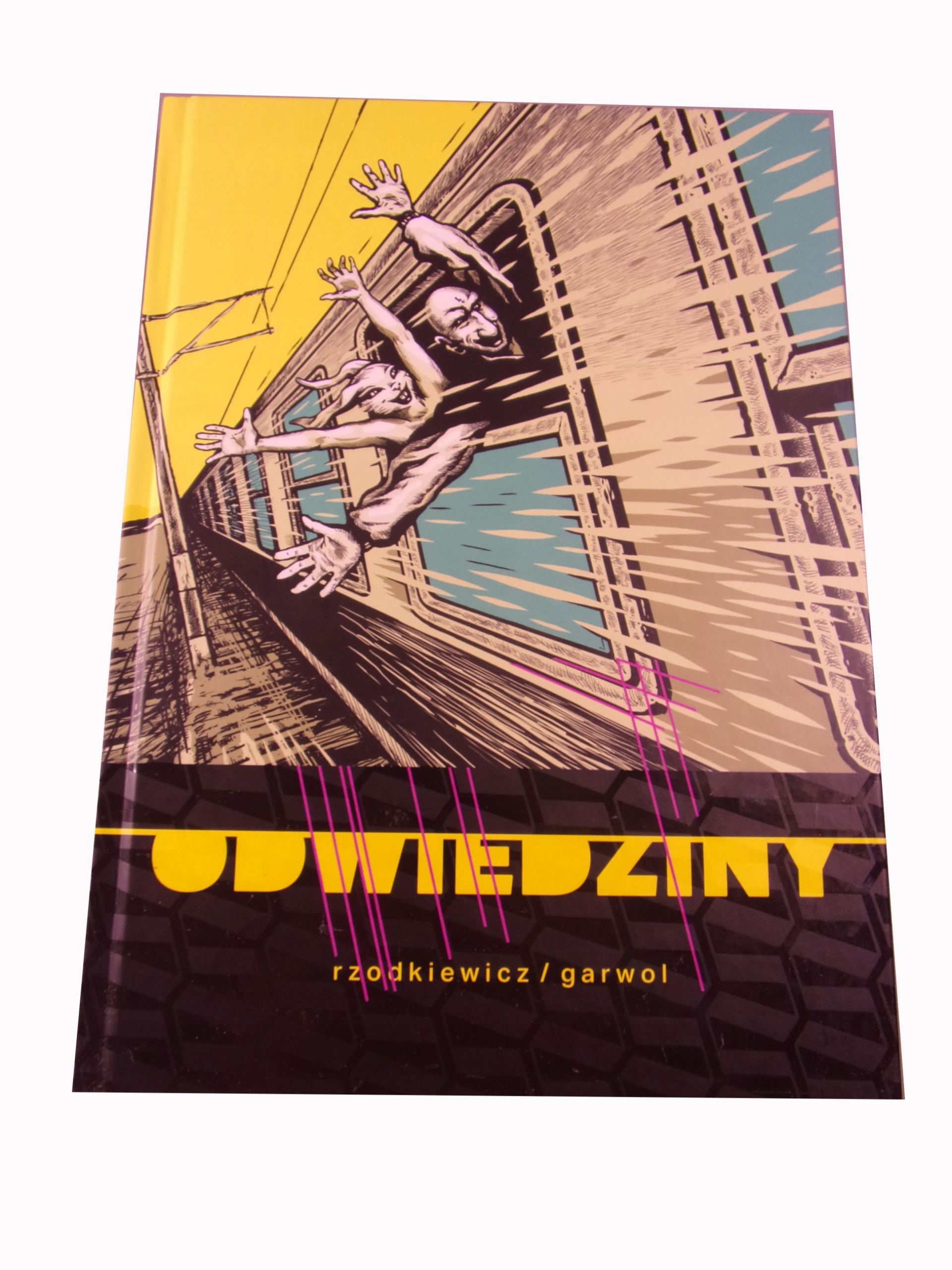 ODWIEDZINY wyd. I 2017 r.