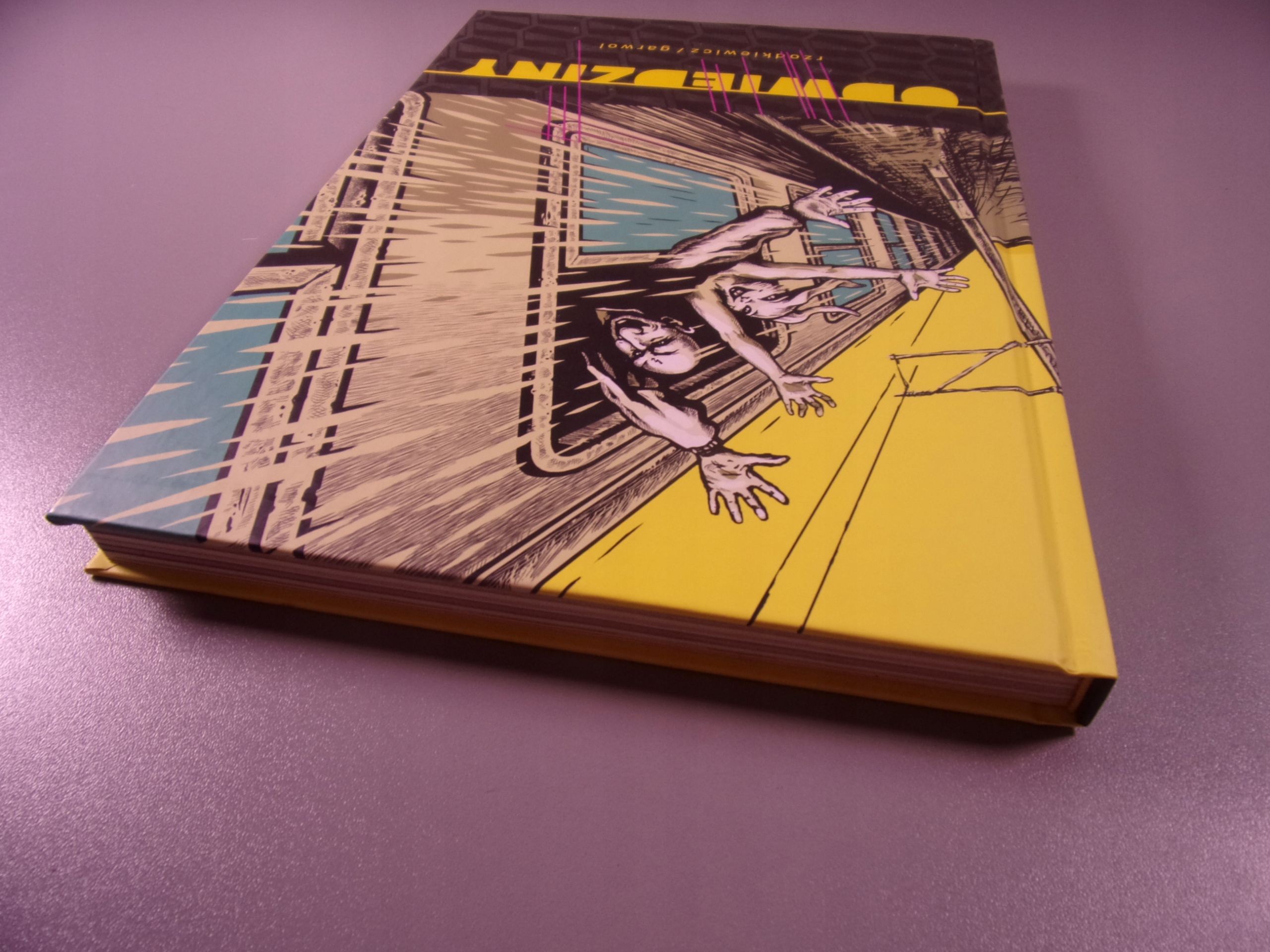 ODWIEDZINY wyd. I 2017 r.