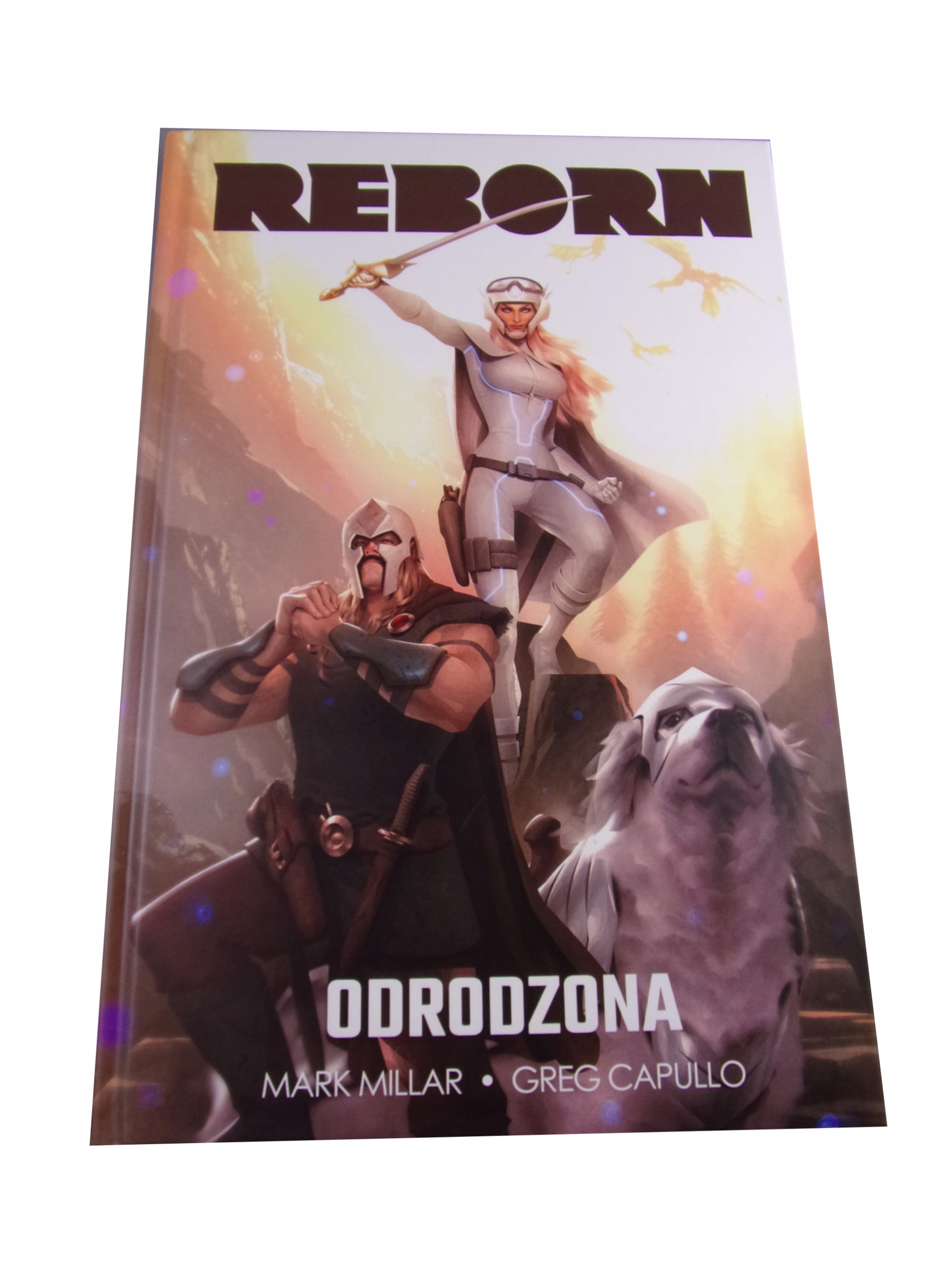 ODRODZONA 2019 r.