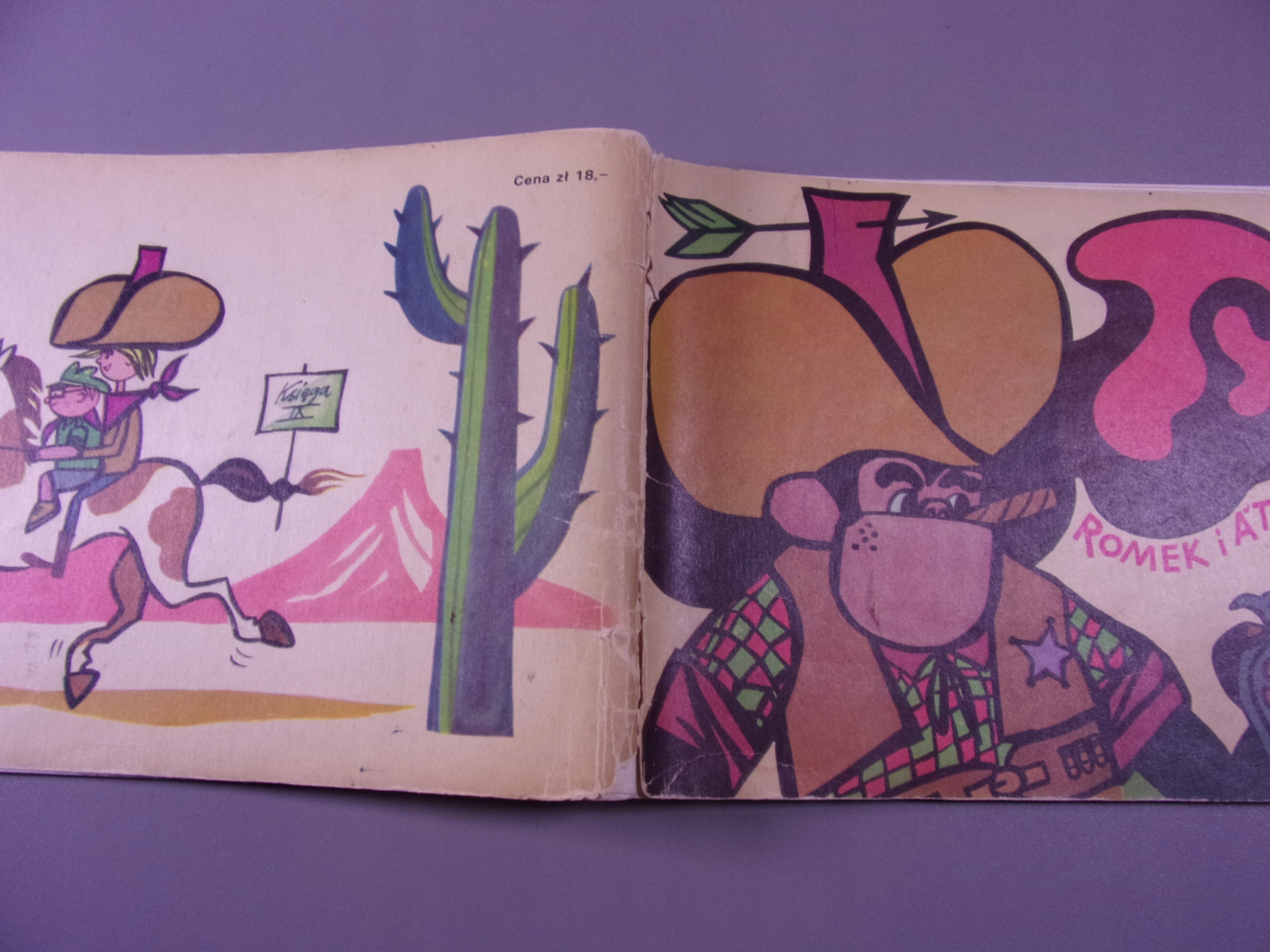 TYTUS księga IX 1974 r. wyd. I HORYZONTY