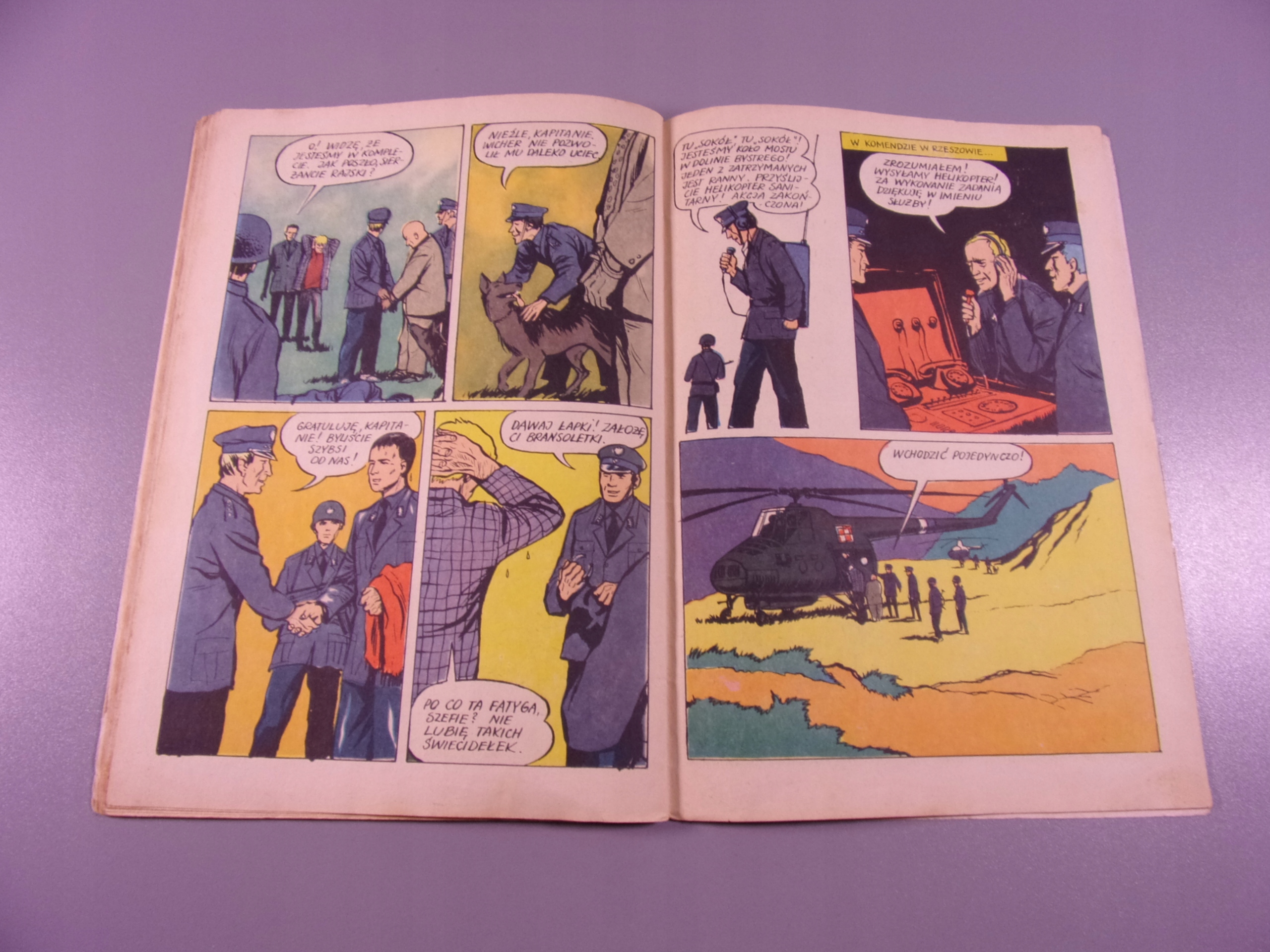 KAPITAN ŻBIK DIADEM TAMARY wydanie I 1969 r.