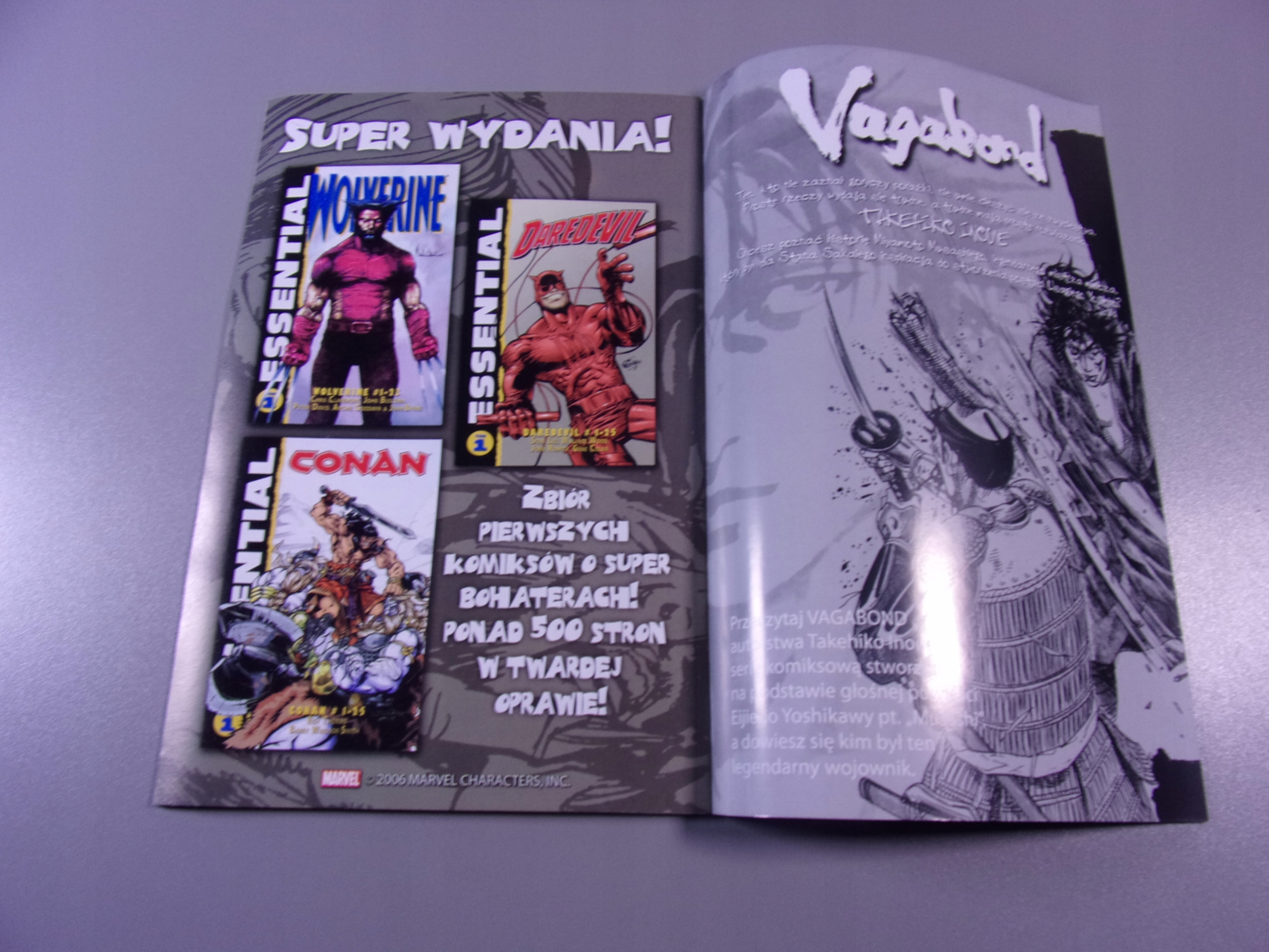 FURY cz. 3 2006 r. MANDRAGORA