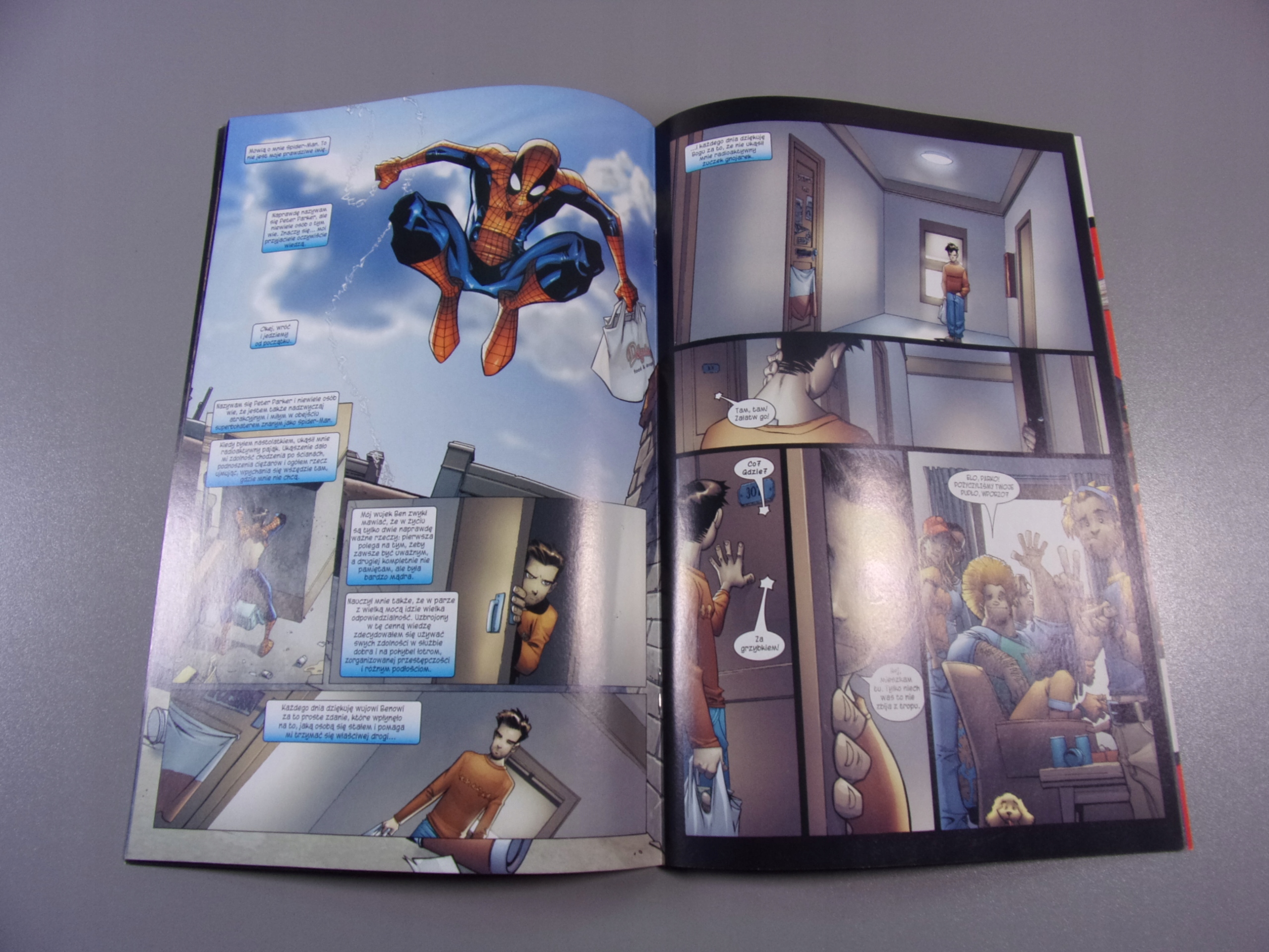 THE SPECTACULAR SPIDER-MAN 3/5 - DK 14/2004