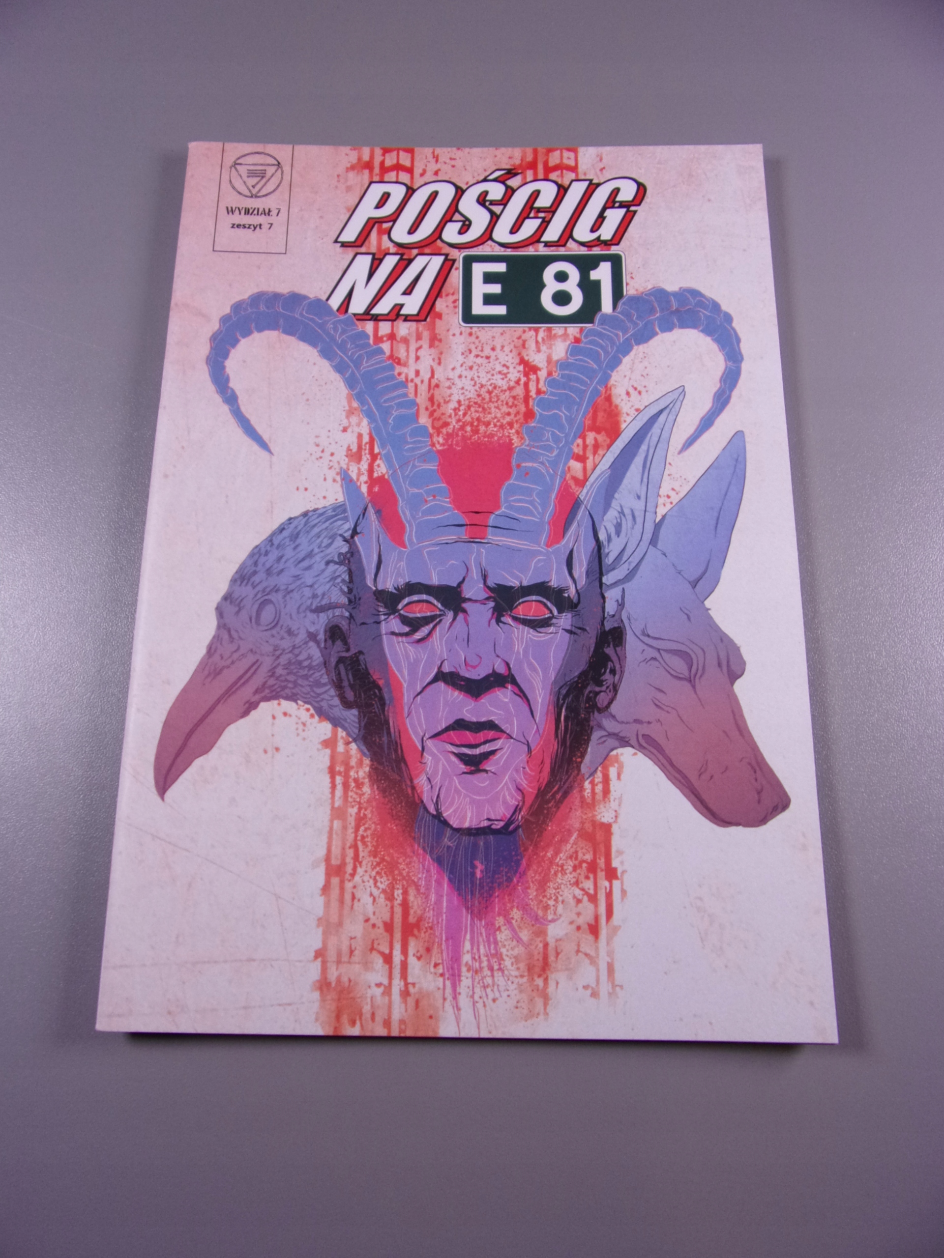 WYDZIAŁ 7 - #7. POŚCIG NA E81