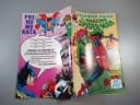 SPIDER-MAN 10/93 TM-Semic
