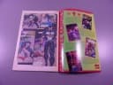 PUNISHER 2/95 TM-Semic