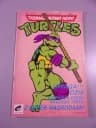 TEENAGE MUTANT HERO TURTLES 1/91