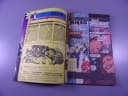 PUNISHER 2/93 TM-Semic