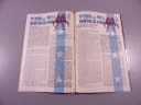 SUPERMAN 1/96 TM-Semic