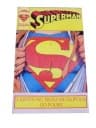 SUPERMAN 1/90 TM-Semic