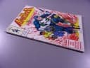PUNISHER 1/1991 TM-Semic