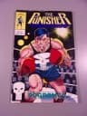 PUNISHER 5/1991 TM-Semic