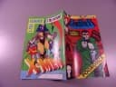 PUNISHER 2/93 TM-Semic