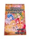 SAILORMOON CZARODZIEJKA Z KSIĘŻYCA tom 13 wyd. I 1999 r.