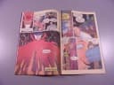 BATMAN 3/95 TM-Semic