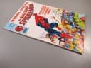 SPIDER-MAN 1/1990 TM-Semic