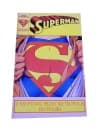 SUPERMAN 1/90 TM-Semic