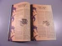 SPIDER-MAN 8/97 TM-Semic