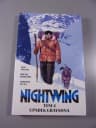 NIGHTWING 4. UPADEK GRAYSONA
