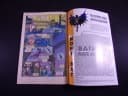 BATMAN 11/96 TM-Semic
