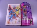 SUPERMAN 5/95 TM-Semic