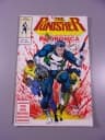 PUNISHER 1/1991 TM-Semic