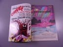 SUPERMAN 1/96 TM-Semic