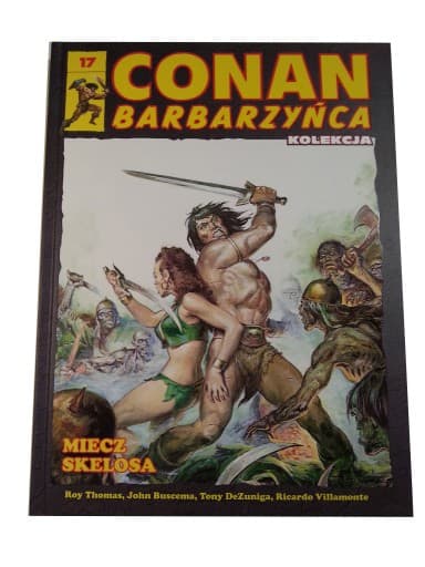 Conan Barbarzyńca t. 17 Miecz Skelosa