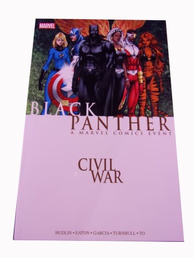 Black Panter Civil Var 2016 r.