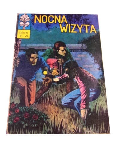 Żbik Nocna Wizyta wyd. I 1972 r.