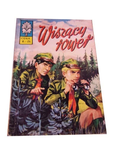 Żbik Wiszący Rower wyd. I 1973 r.
