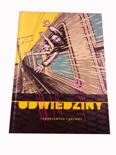 ODWIEDZINY wyd. I 2017 r.