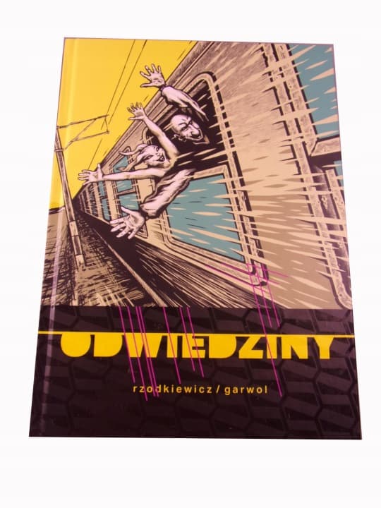 Odwiedziny wyd. I 2017 r. – zdjęcie 1 z 7